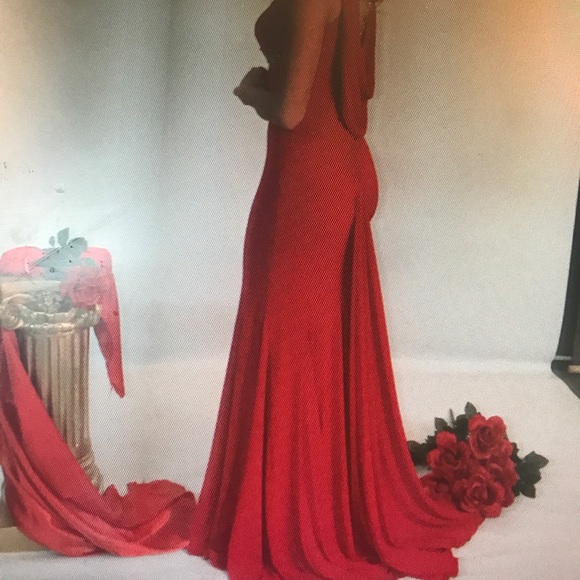 Pageant/Formal Dress - Picture 2 of 4